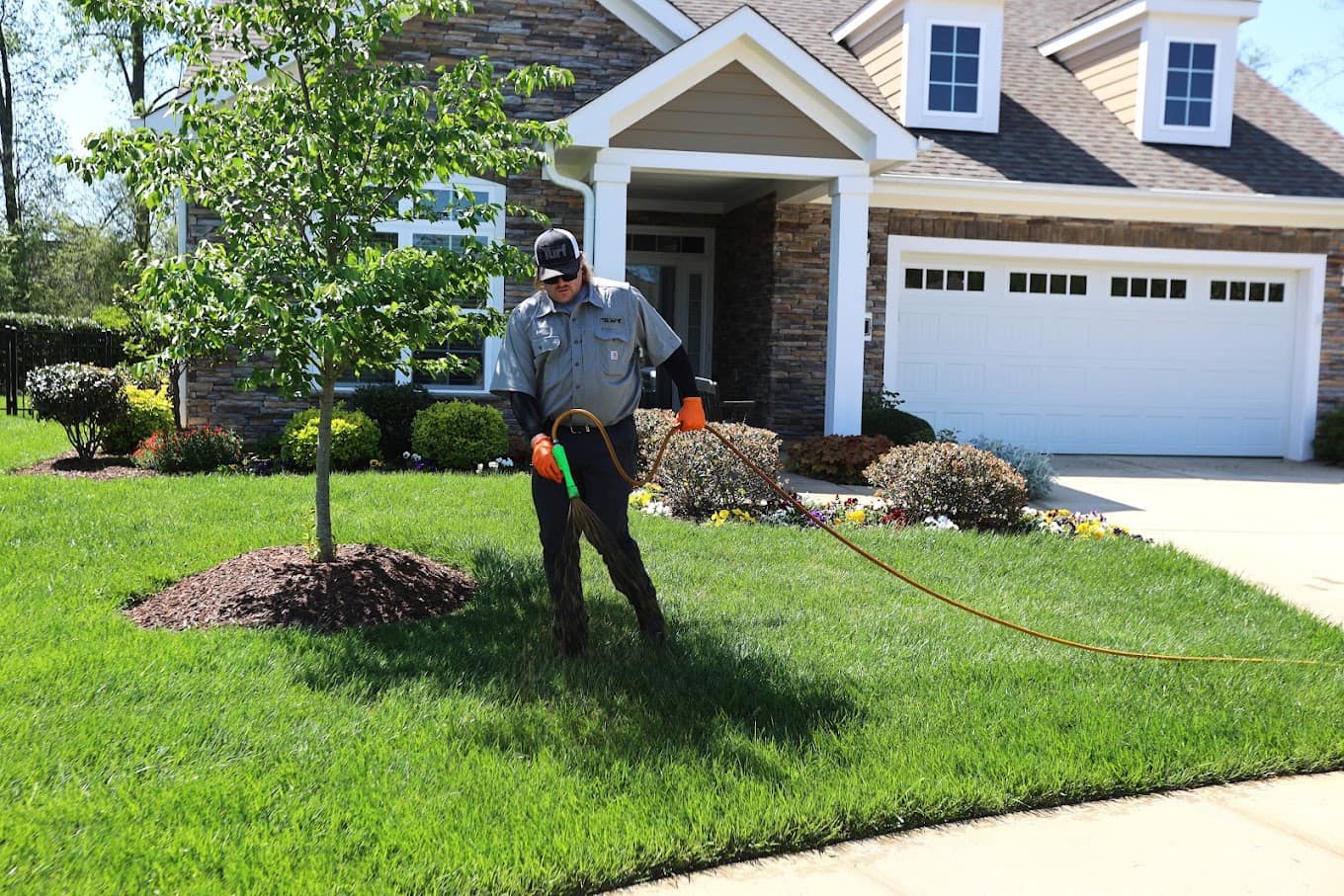 Tree & shrub care