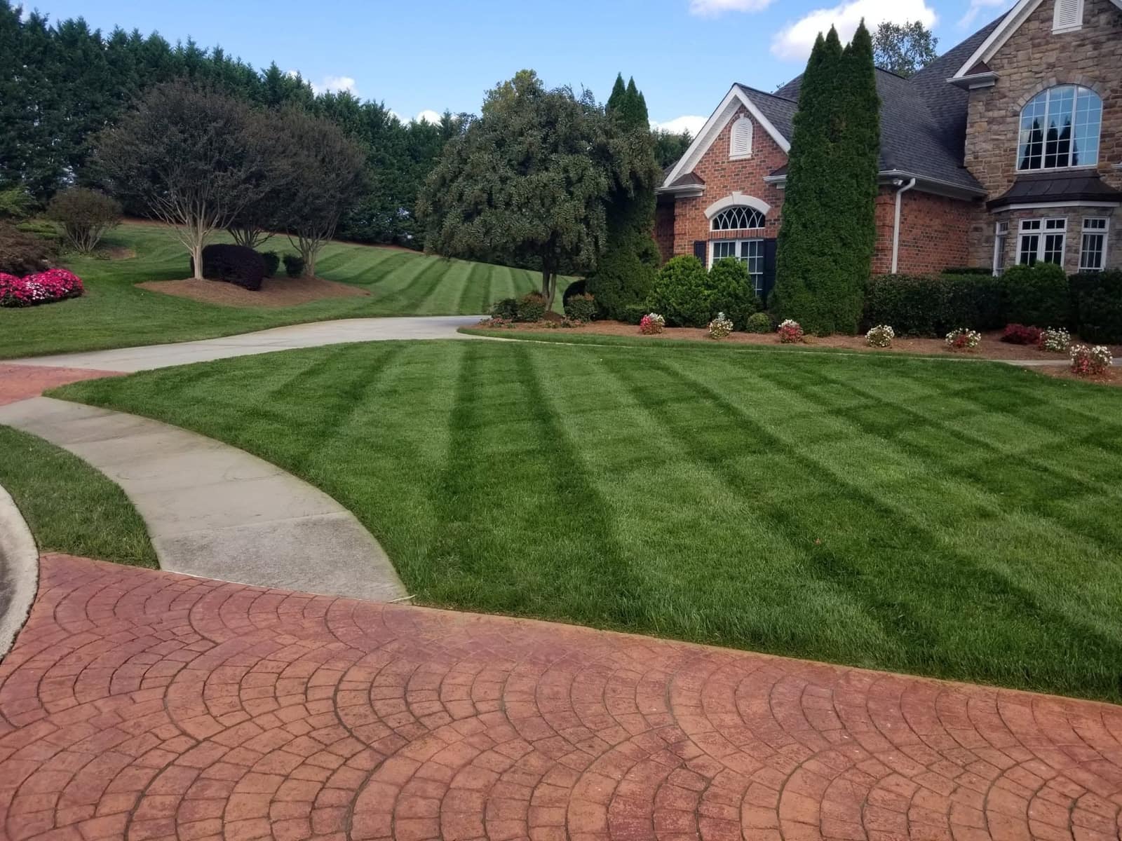 Established turf